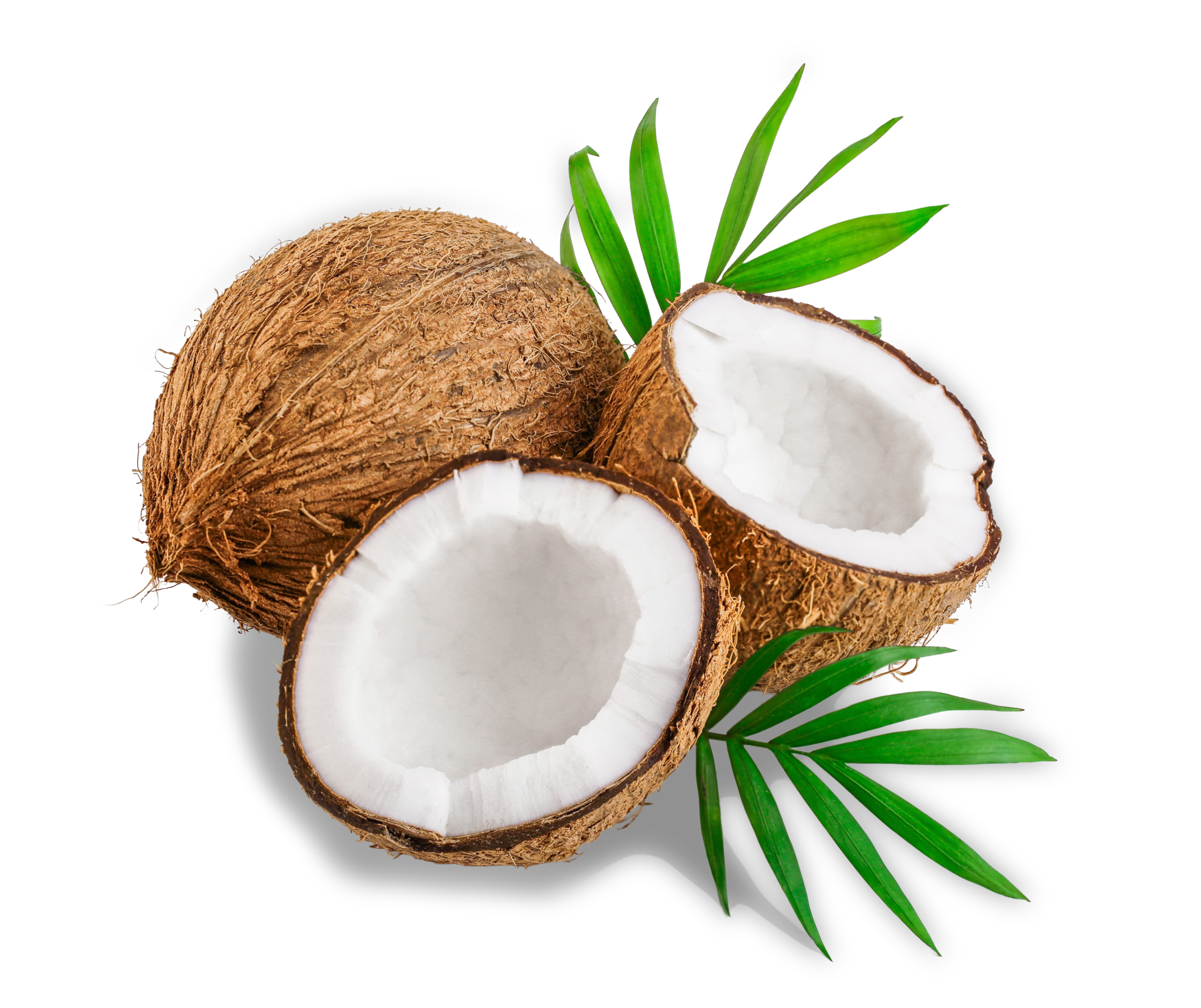 Noix de coco fraîches